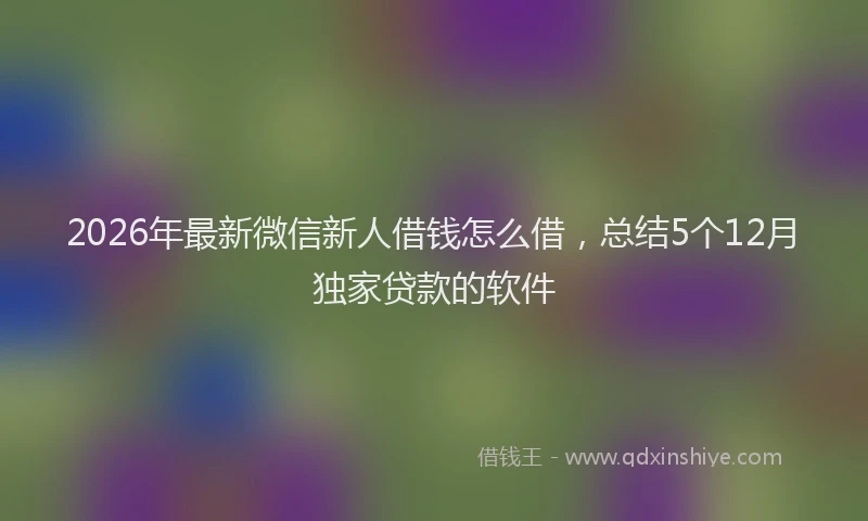2026年最新微信新人借钱怎么借，总结5个12月独家贷款的软件