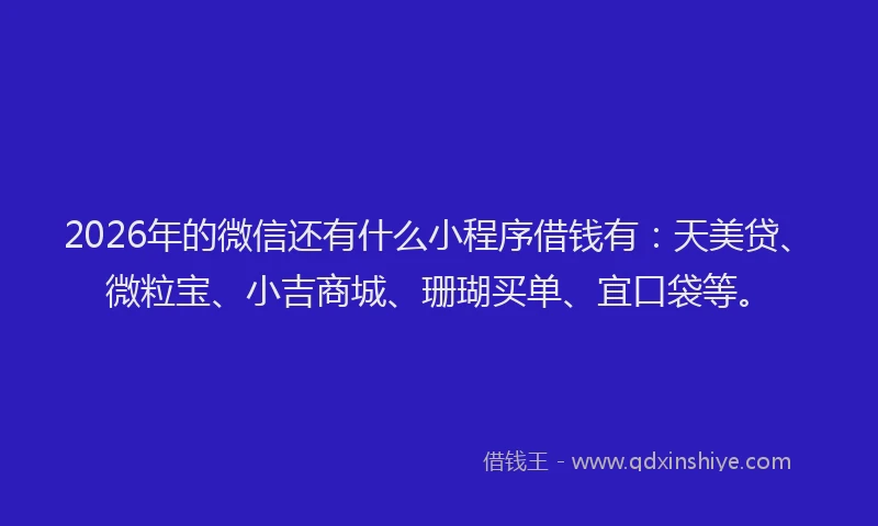 2026年的微信还有什么小程序借钱有：天美贷、微粒宝、小吉商城、珊瑚买单、宜口袋等。