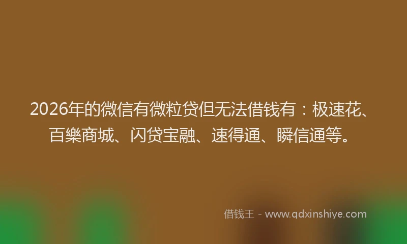 2026年的微信有微粒贷但无法借钱有：极速花、百樂商城、闪贷宝融、速得通、瞬信通等。