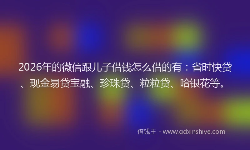 2026年的微信跟儿子借钱怎么借的有：省时快贷、现金易贷宝融、珍珠贷、粒粒贷、哈银花等。