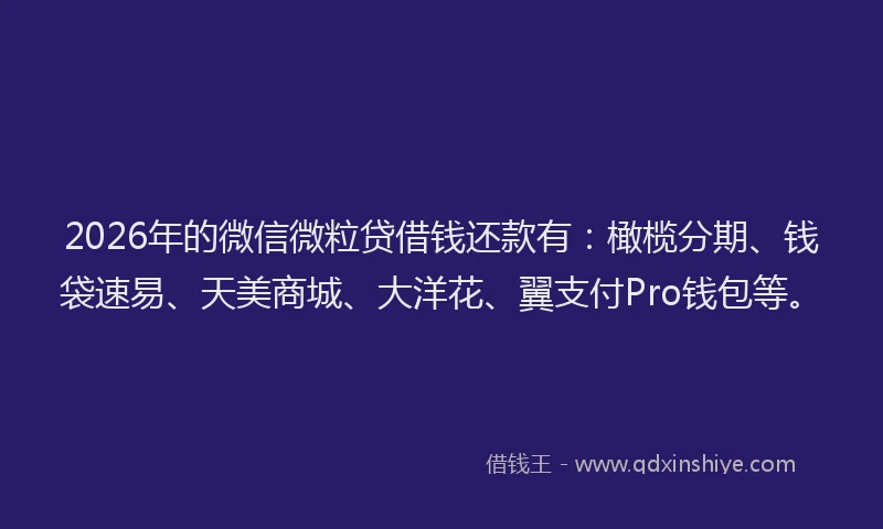 2026年的微信微粒贷借钱还款有：橄榄分期、钱袋速易、天美商城、大洋花、翼支付Pro钱包等。
