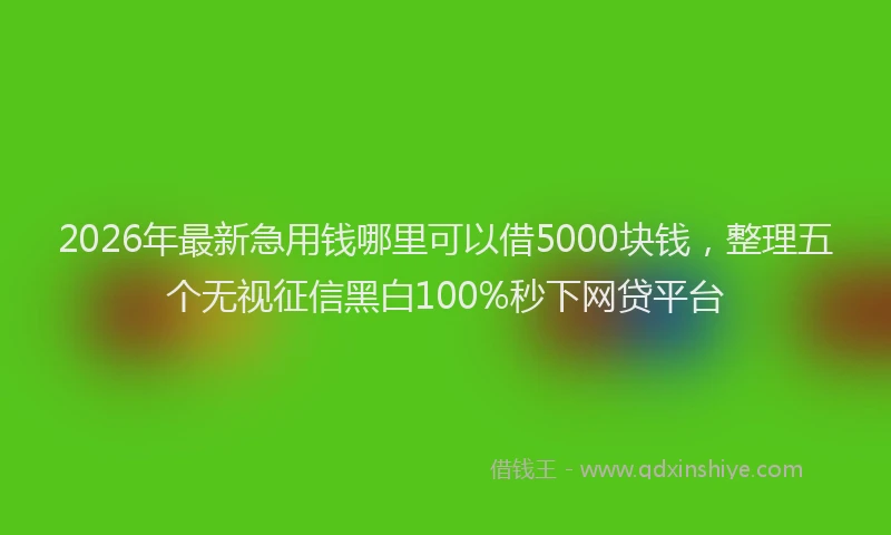 2026年最新急用钱哪里可以借5000块钱，整理五个无视征信黑白100%秒下网贷平台