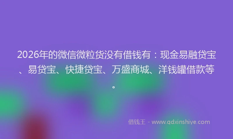 2026年的微信微粒货没有借钱有：现金易融贷宝、易贷宝、快捷贷宝、万盛商城、洋钱罐借款等。