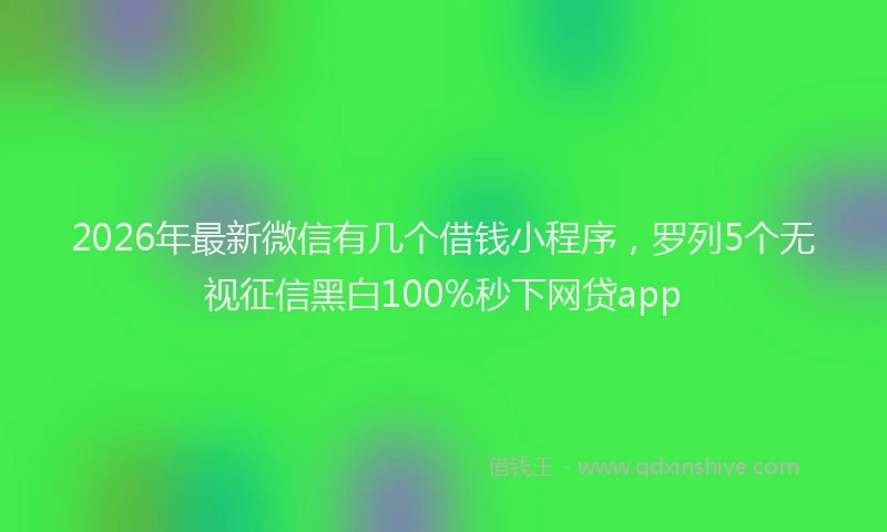 2026年最新微信有几个借钱小程序，罗列5个无视征信黑白100%秒下网贷app