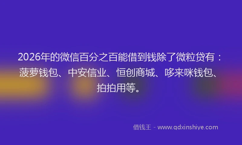 2026年的微信百分之百能借到钱除了微粒贷有：菠萝钱包、中安信业、恒创商城、哆来咪钱包、拍拍用等。