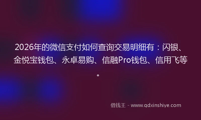 2026年的微信支付如何查询交易明细有：闪银、金悦宝钱包、永卓易购、信融Pro钱包、信用飞等。