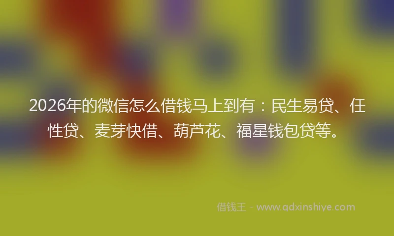 2026年的微信怎么借钱马上到有：民生易贷、任性贷、麦芽快借、葫芦花、福星钱包贷等。