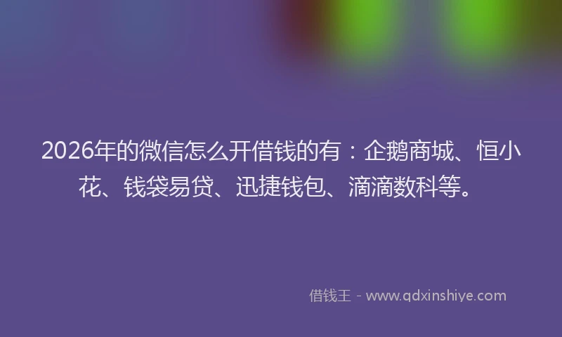 2026年的微信怎么开借钱的有：企鹅商城、恒小花、钱袋易贷、迅捷钱包、滴滴数科等。