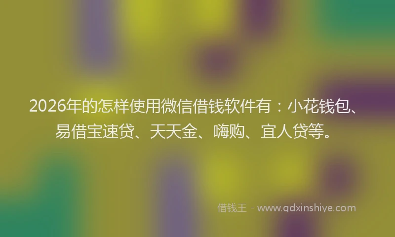 2026年的怎样使用微信借钱软件有:小花钱包、易借宝速贷、天天金、嗨购、宜人贷等。