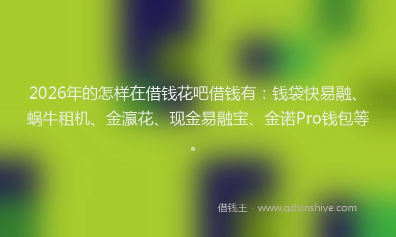 2026年的怎样在借钱花吧借钱有：钱袋快易融、蜗牛租机、金瀛花、现金易融宝、金诺Pro钱包等。