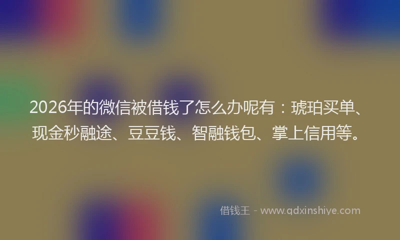 2026年的微信被借钱了怎么办呢有：琥珀买单、现金秒融途、豆豆钱、智融钱包、掌上信用等。