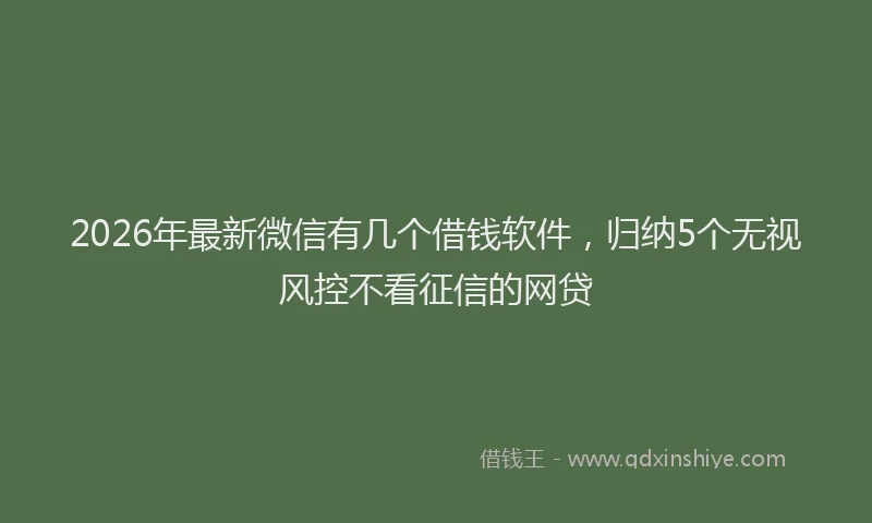 2026年最新微信有几个借钱软件，归纳5个无视风控不看征信的网贷