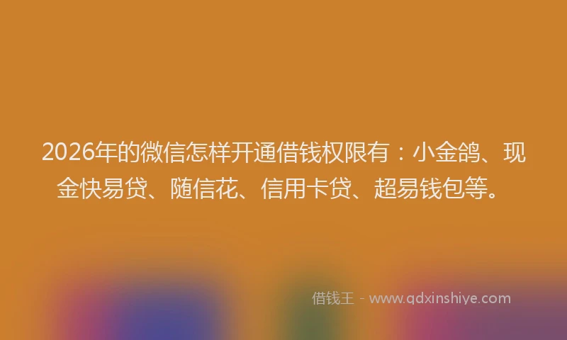 2026年的微信怎样开通借钱权限有：小金鸽、现金快易贷、随信花、信用卡贷、超易钱包等。