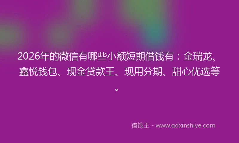 2026年的微信有哪些小额短期借钱有：金瑞龙、鑫悦钱包、现金贷款王、现用分期、甜心优选等。