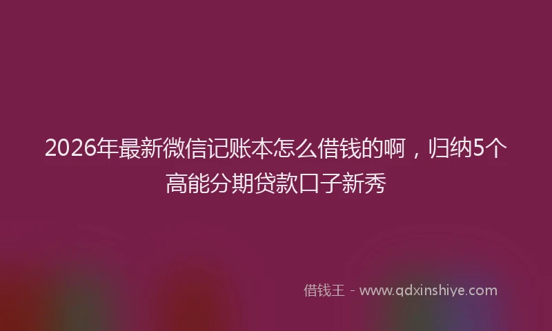 2026年最新微信记账本怎么借钱的啊，归纳5个高能分期贷款口子新秀