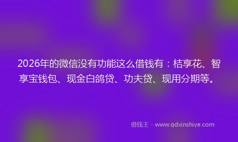 2026年的微信没有功能这么借钱有：桔享花、智享宝钱包、现金白鸽贷、功夫贷、现用分期等。