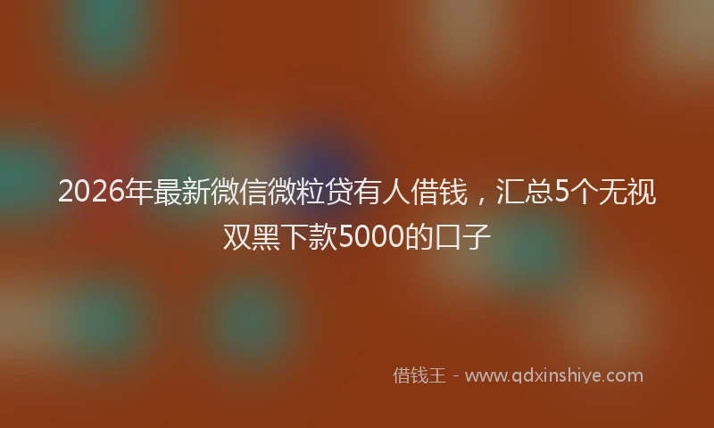 2026年最新微信微粒贷有人借钱，汇总5个无视双黑下款5000的口子