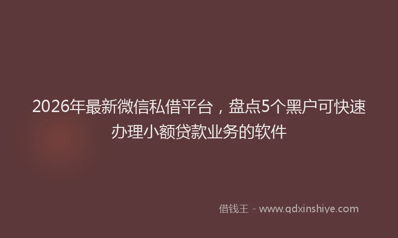2026年最新微信私借平台，盘点5个黑户可快速办理小额贷款业务的软件