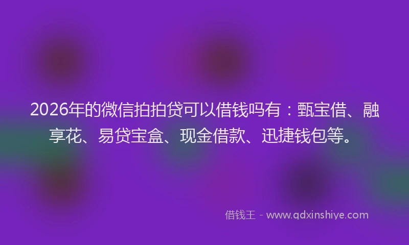 2026年的微信拍拍贷可以借钱吗有：甄宝借、融享花、易贷宝盒、现金借款、迅捷钱包等。