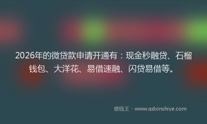 2026年的微贷款申请开通有：现金秒融贷、石榴钱包、大洋花、易借速融、闪贷易借等。