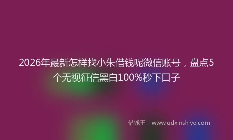 2026年最新怎样找小朱借钱呢微信账号，盘点5个无视征信黑白100%秒下口子