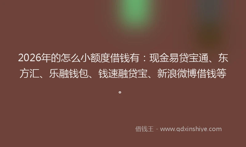 2026年的怎么小额度借钱有：现金易贷宝通、东方汇、乐融钱包、钱速融贷宝、新浪微博借钱等。