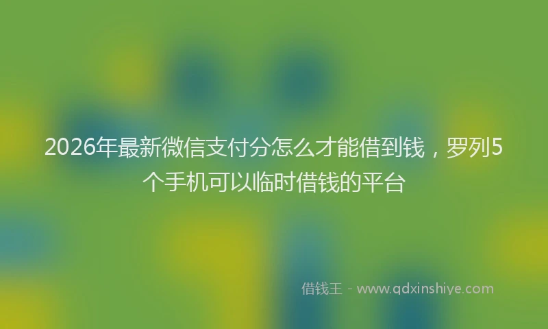 2026年最新微信支付分怎么才能借到钱，罗列5个手机可以临时借钱的平台