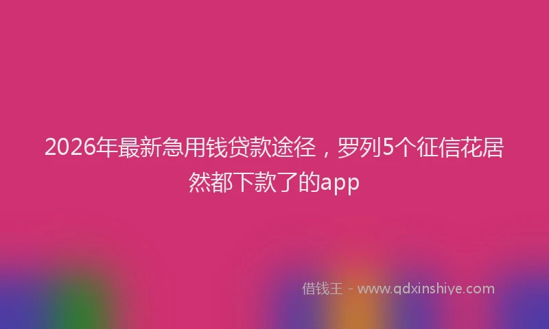 2026年最新急用钱贷款途径，罗列5个征信花居然都下款了的app