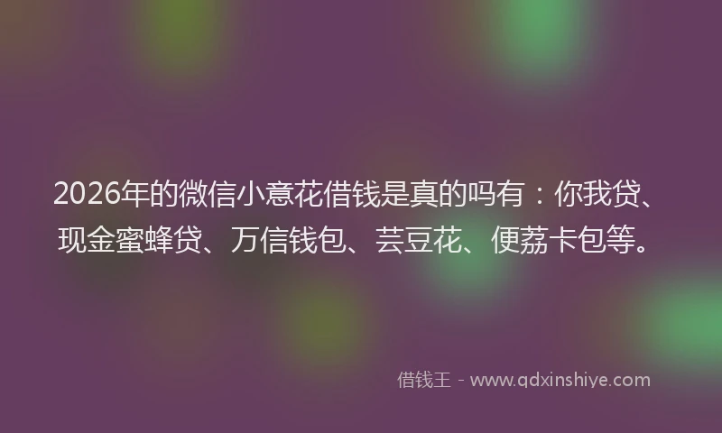 2026年的微信小意花借钱是真的吗有：你我贷、现金蜜蜂贷、万信钱包、芸豆花、便荔卡包等。