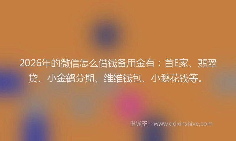 2026年的微信怎么借钱备用金有：首E家、翡翠贷、小金鹤分期、维维钱包、小鹅花钱等。