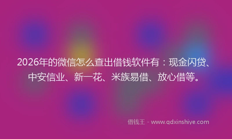 2026年的微信怎么查出借钱软件有：现金闪贷、中安信业、新一花、米族易借、放心借等。