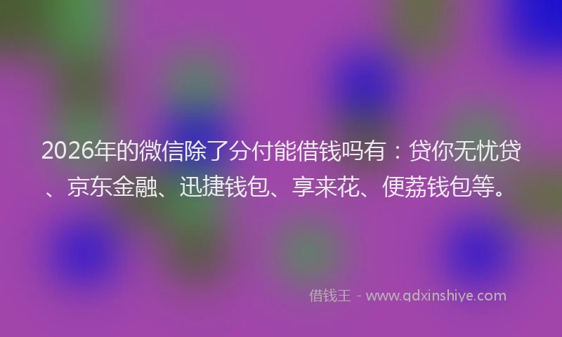 2026年的微信除了分付能借钱吗有：贷你无忧贷、京东金融、迅捷钱包、享来花、便荔钱包等。