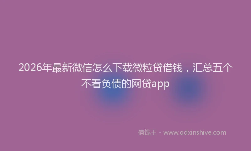2026年最新微信怎么下载微粒贷借钱，汇总五个不看负债的网贷app