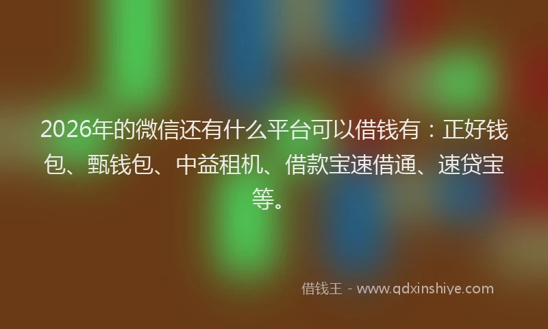 2026年的微信还有什么平台可以借钱有：正好钱包、甄钱包、中益租机、借款宝速借通、速贷宝等。