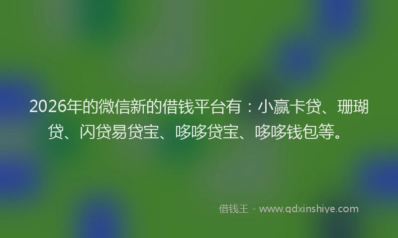 2026年的微信新的借钱平台有：小赢卡贷、珊瑚贷、闪贷易贷宝、哆哆贷宝、哆哆钱包等。