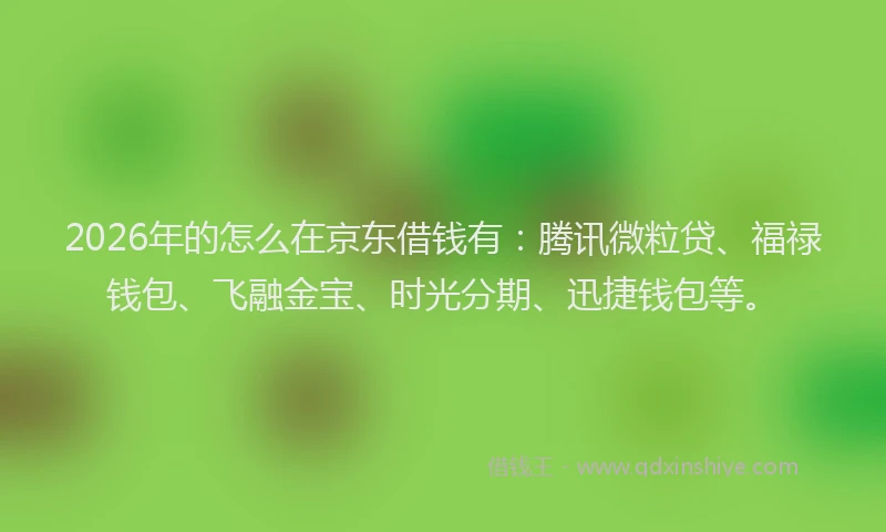 2026年的怎么在京东借钱有：腾讯微粒贷、福禄钱包、飞融金宝、时光分期、迅捷钱包等。