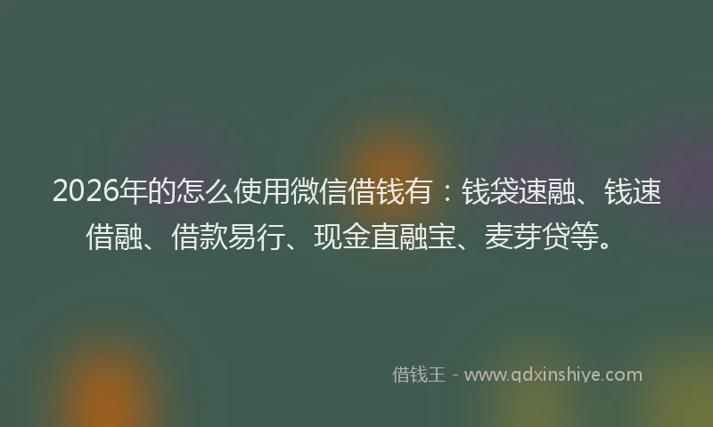 2026年的怎么使用微信借钱有：钱袋速融、钱速借融、借款易行、现金直融宝、麦芽贷等。