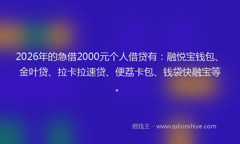 2026年的急借2000元个人借贷有：融悦宝钱包、金叶贷、拉卡拉速贷、便荔卡包、钱袋快融宝等。