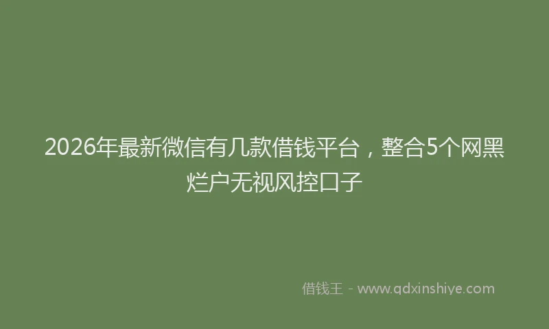 2026年最新微信有几款借钱平台，整合5个网黑烂户无视风控口子