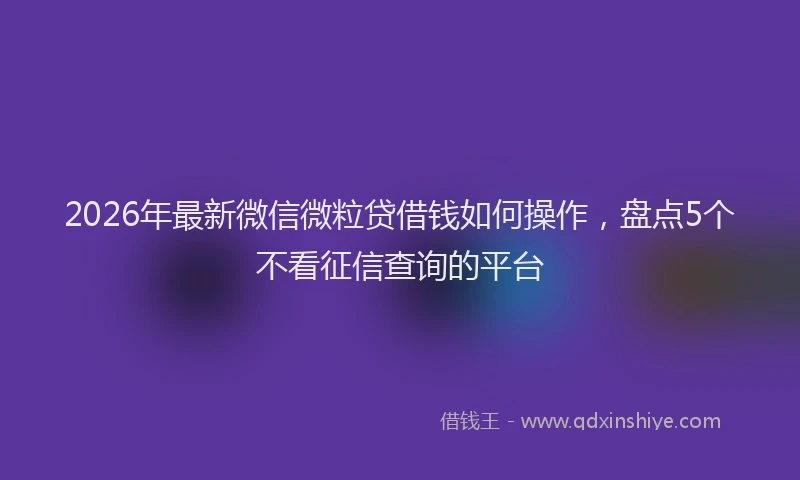 2026年最新微信微粒贷借钱如何操作，盘点5个不看征信查询的平台