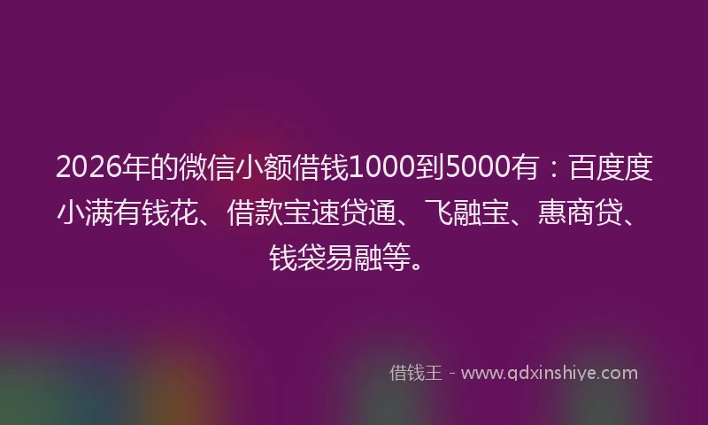 2026年的微信小额借钱1000到5000有：百度度小满有钱花、借款宝速贷通、飞融宝、惠商贷、钱袋易融等。