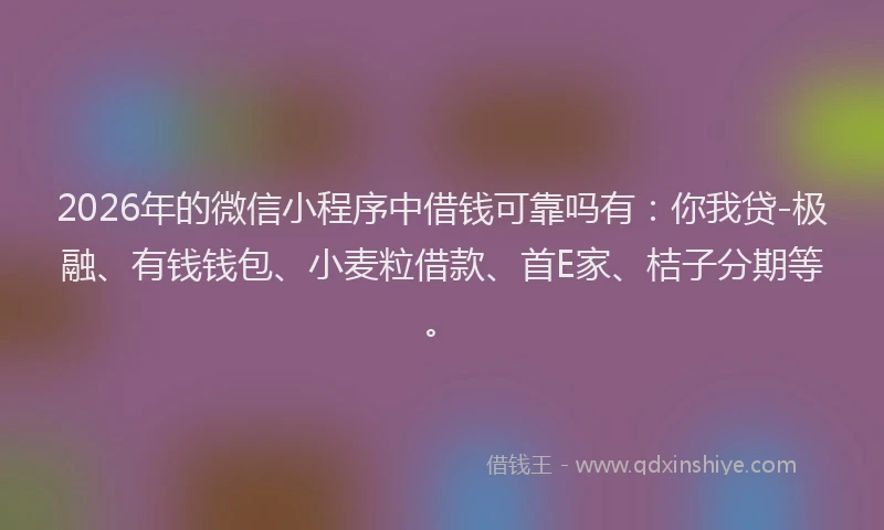 2026年的微信小程序中借钱可靠吗有：你我贷-极融、有钱钱包、小麦粒借款、首E家、桔子分期等。