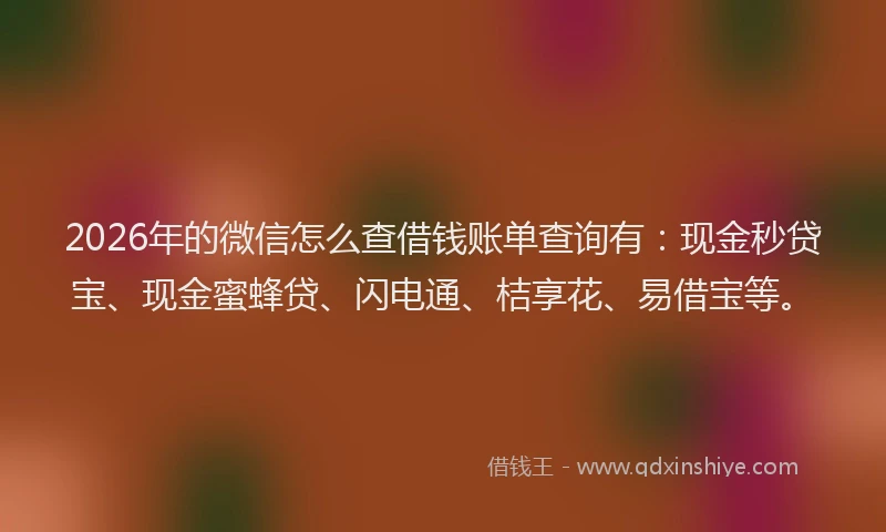 2026年的微信怎么查借钱账单查询有：现金秒贷宝、现金蜜蜂贷、闪电通、桔享花、易借宝等。
