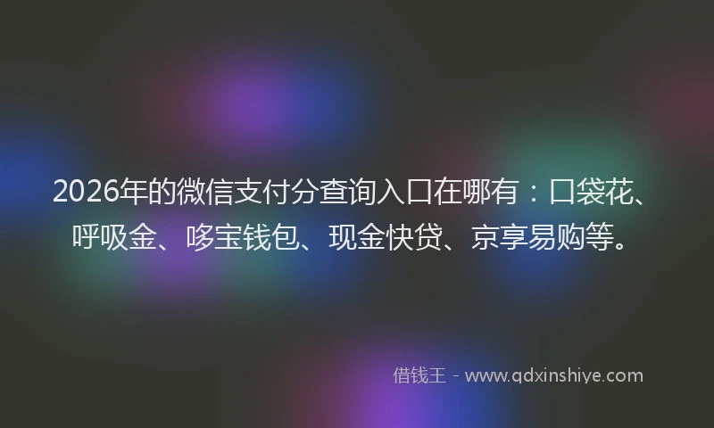 2026年的微信支付分查询入口在哪有：口袋花、呼吸金、哆宝钱包、现金快贷、京享易购等。