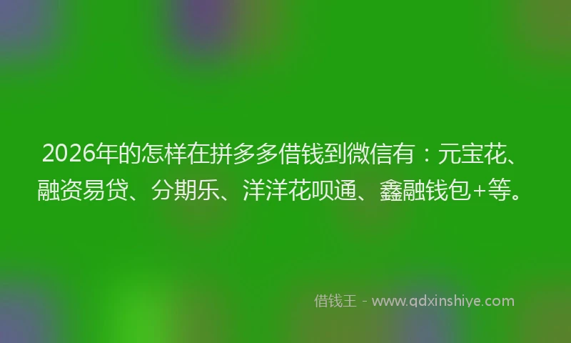 2026年的怎样在拼多多借钱到微信有：元宝花、融资易贷、分期乐、洋洋花呗通、鑫融钱包+等。