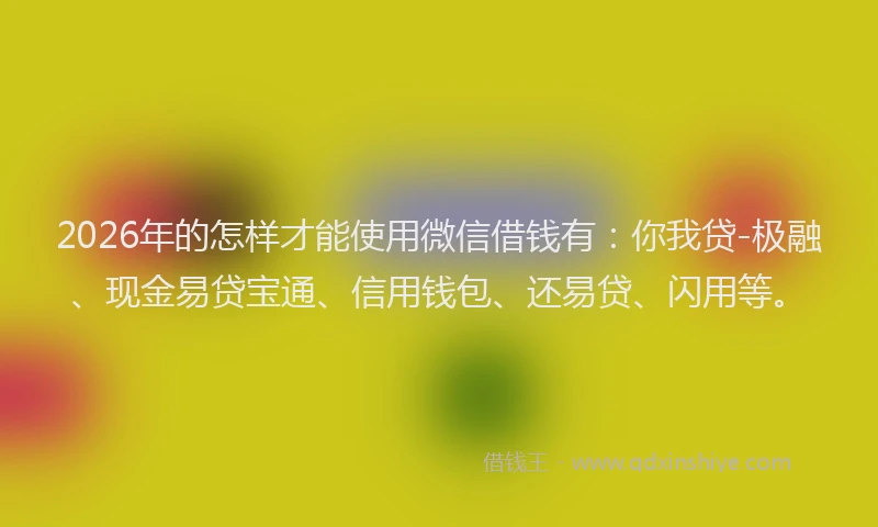 2026年的怎样才能使用微信借钱有:你我贷-极融、现金易贷宝通、信用钱包、还易贷、闪用等。