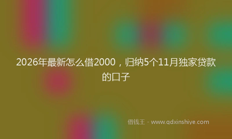 2026年最新怎么借2000，归纳5个11月独家贷款的口子