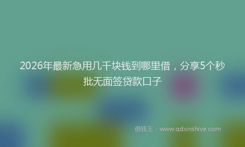2026年最新急用几千块钱到哪里借,分享5个秒批无面签贷款口子