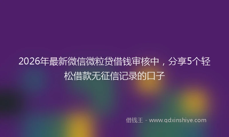 2026年最新微信微粒贷借钱审核中，分享5个轻松借款无征信记录的口子