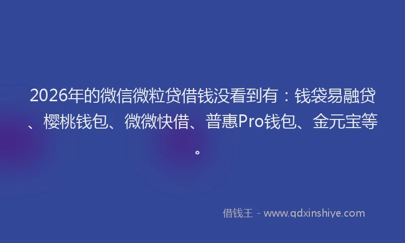 2026年的微信微粒贷借钱没看到有：钱袋易融贷、樱桃钱包、微微快借、普惠Pro钱包、金元宝等。